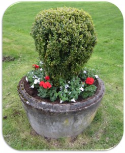 Sommarplantering